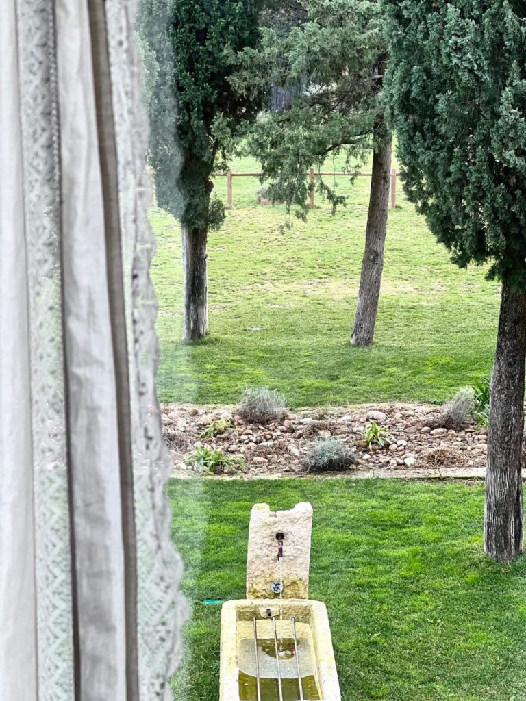 Private visit to the Mas des écoleliers, Chateaurenard, Avignon, text and photos Billie Blanket